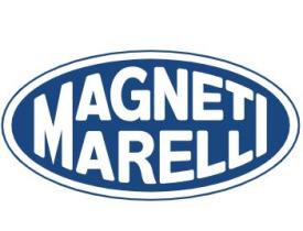 MAGNE
