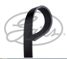  7PK1640 - Correa auxiliar 7PK1640 Toyota Land Cruiser