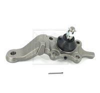 555 SB-3806R - ROTULA DE SUSPENSION DERECHA