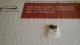 Nissan -13070-EB70B - TENSOR CADENA   A3B