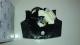 Nissan -25567-EB60A - Anillo airbag, interruptor combinado. carrete airbag
