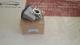 Nissan -14710-EC00D - VALVULA CONTROL C                MR